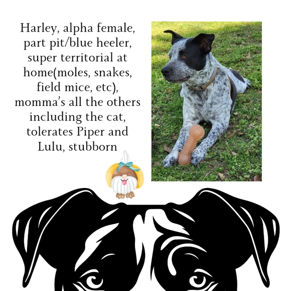 @spazcmt55 Meet Your Posher - Picture 6 of 11